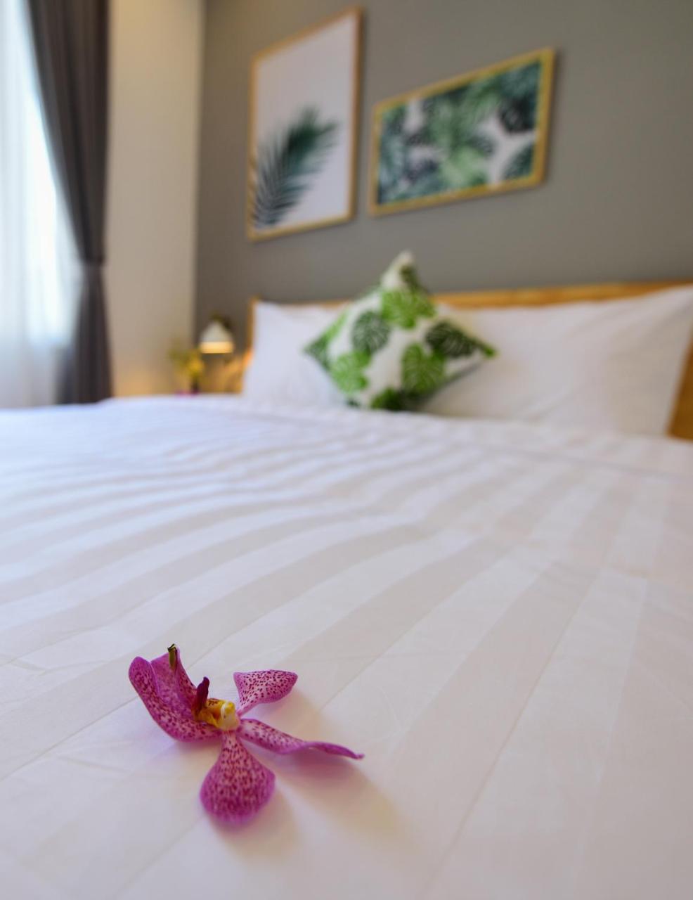 La Paix Hue Hotel Buitenkant foto